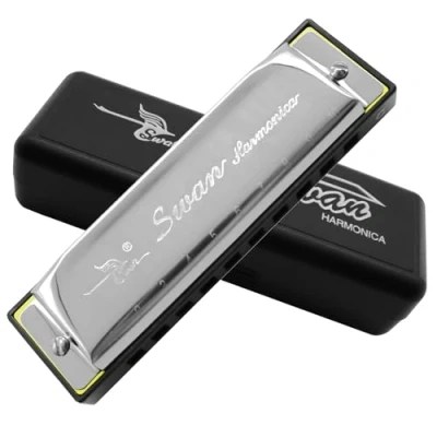 Abbildung von Mundharmonika C Dur 10 Loch Blues Harp Diatonische Harmonika Harmonica für Erwachsene Kind Kinder Student Lehren Anfänger Geschenk