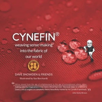 Abbildung von Cynefin Weaving Sense Making into the Fabric of Our World