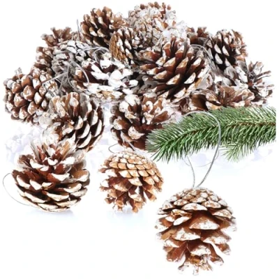 Abbildung von com four® 30x Anhänger Tannenzapfen mit weißen Spitzen Pinienzapfen als Weihnachtsdekoration Zapfen Deko zum Anhängen Bastel Set Weihnachtsschmuck (30 weiße Spitzen)