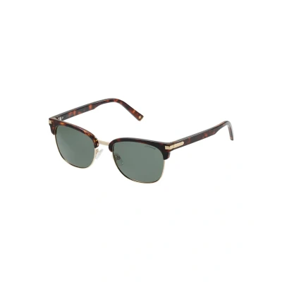 Abbildung von Polaroid Sonnenbrille, Größe: One Size, Darkhavana