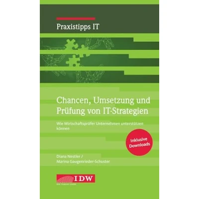 Abbildung von Chancen, Umsetzung und Prüfung von IT Strategien: Wie Wirtschaftsprüfer Unternehmen unterstützen können