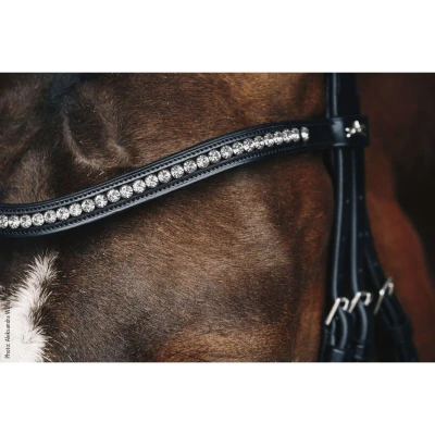 Abbildung von Schockemöhle Stirnriemen Diamond Select Schwarz/Grau XWarmblut