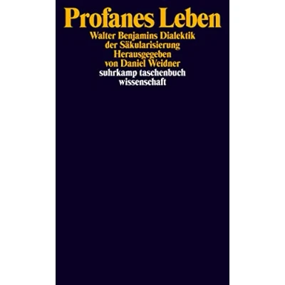 Abbildung von Profanes Leben: Walter Benjamins Dialektik der Säkularisierung (suhrkamp taschenbuch wissenschaft)