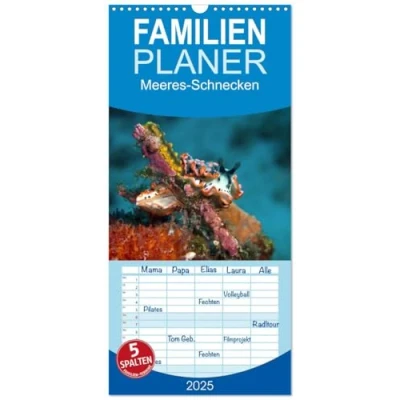 Abbildung von Familienplaner 2025 Meeres Schnecken mit 5 Spalten (Wandkalender, 21 cm x 45 cm), CALVENDO