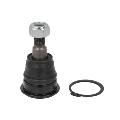 Abbildung von CTR CB0320 Traggelenk Vorderachse, unten mit Mutter 48mm