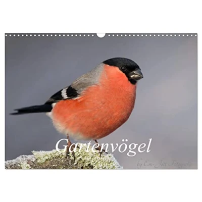 Abbildung von Vögel aus dem Garten (Wandkalender 2025 DIN A3 quer), CALVENDO Monatskalender