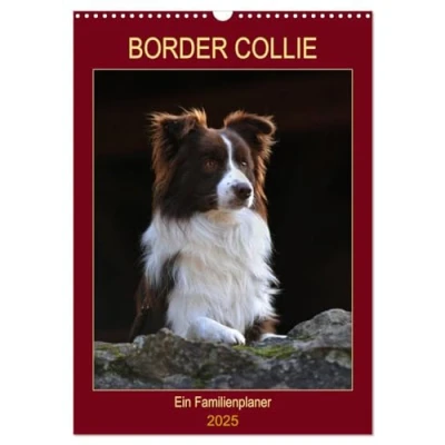 Abbildung von Border Collie Ein Familienplaner (Wandkalender 2025 DIN A3 hoch), CALVENDO Monatskalender