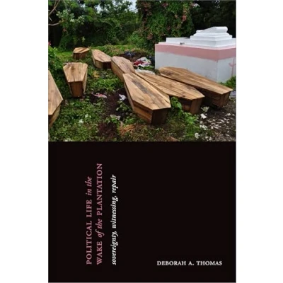 Abbildung von Political Life in the Wake of Plantation: Sovereignty, Witnessing, Repair
