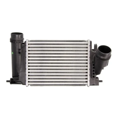 Abbildung von THERMOTEC DA1005TT Ladeluftkühler 282 X 217 62 mm RENAULT: Kadjar, Megane 4 Schrägheck, NISSAN: Qashqai 2, Trail