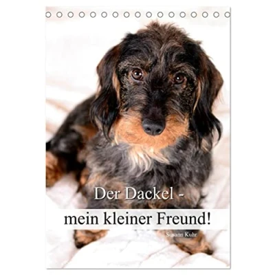 Abbildung von Der Dackel mein kleiner Freund (Tischkalender 2025 DIN A5 hoch), CALVENDO Monatskalender