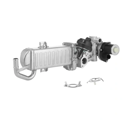 Abbildung von WAHLER 710861D/1 AGR Modul elektrisch mit Kühler, Dichtungen VOLKSWAGEN: Polo V Schrägheck, Touran I, GOLF 6, SKODA: Octavia 2 Combi