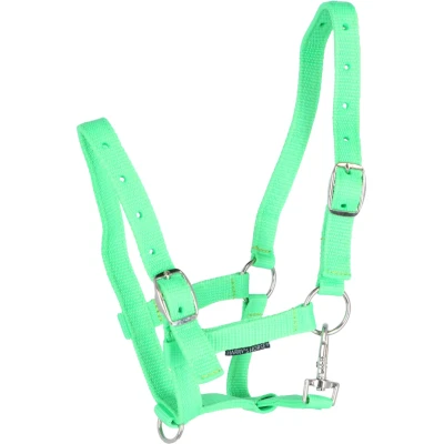 Abbildung von Harry&#039;s Horse Fohlenhalfterpferd Full Veulen Limette