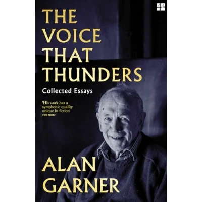 Abbildung von the Voice that Thunders: dazzling essays from author of Booker Prize shortlisted Treacle Walker