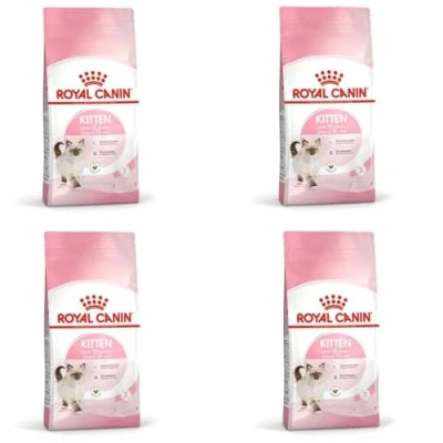 Abbildung von Royal Canin FHN Kitten 400g...
