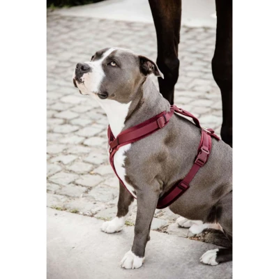 Abbildung von Kentucky Geschirr Active Velvet Bordeaux XL Agradi.deVerkauft von Agradi