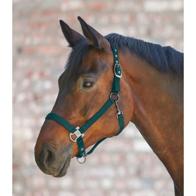 Abbildung von Waldhausen Halfter Gloomy Fir Green Pony