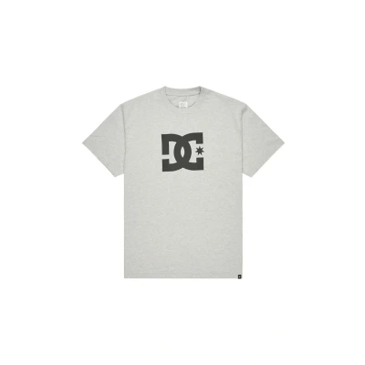 Abbildung von DC Shoes STAR HSS Tshirt print, Herren, Größe: Large, Sfrh light heather grey