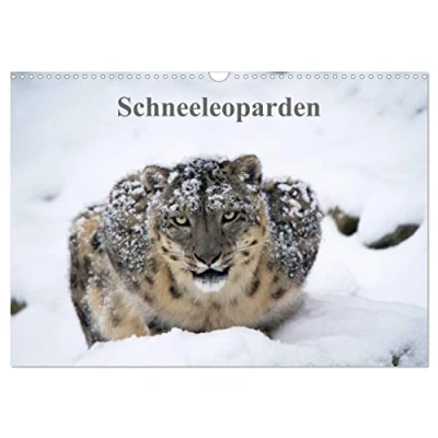 Abbildung von Schneeleoparden (Wandkalender 2025 DIN A3 quer), CALVENDO Monatskalender