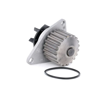 Abbildung von INA 538 0009 10 Wasserpumpe 20 mit Dichtung PEUGEOT: 106 II Schrägheck, 206 307 CITROËN: Saxo BX Schrägheck