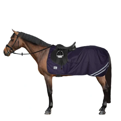 Abbildung von Harry&#039;s Horse Übungsblatt 0gr wasserdicht mit Fleecefutter S Farbe Weniger