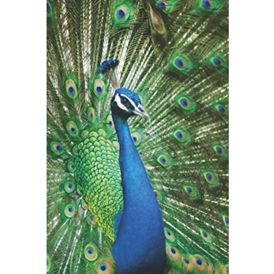 Abbildung von Pfau Notizbuch: Tagebuch / Notizbuch mit Bild als Motiv 120 Seiten gepunktet (dotted) A5 Geschenk für Vogelfreunde