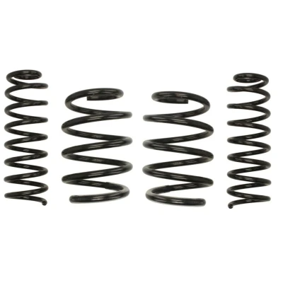 Abbildung von EIBACH Pro Kit E10 75 003 15 22 Fahrwerksatz, Federn RENAULT: MEGANE 2