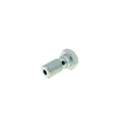 Abbildung von Hohlschraube Bremsleitung M10x1,0 kompatibel mit AJP, Brembo Bremssatte