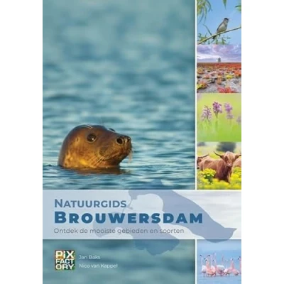 Abbildung von Natuurgids Brouwersdam: Ontdek de mooiste gebieden en soorten (Natuurgidsen, 2)