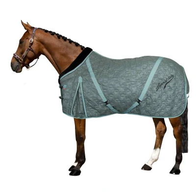 Abbildung von Stalldecke für Pferde Imperial Riding Super dry 250 g
