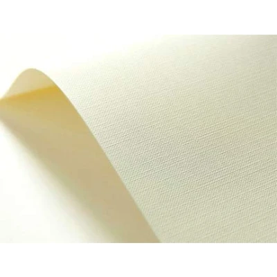 Abbildung von Netuno 400x Creme Karton Raster Prägung DIN A4 21 x 29,7 cm 246g Elfenbeinkarton Chamois geprägt Struktur für Visitenkarten Einladungs Karten Zertifikate Urkunden