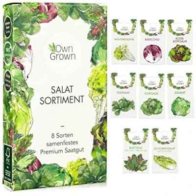 Abbildung von Salat Samen: 8 Sorten Saatgut Set für Garten und Balkon Kopfsalat Samen, Blattsenf, Feldsalat Samen winterhart, Radicchio, Endiviensalat Zichorie Gemüse von OwnGrown
