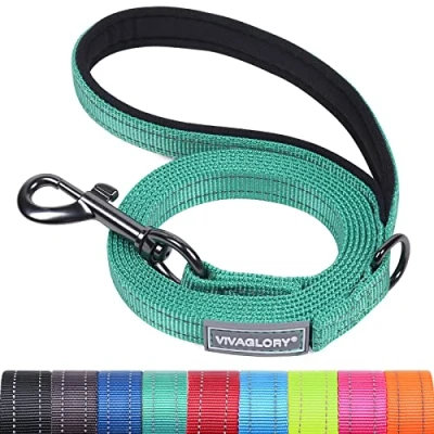 Abbildung von VIVAGLORY Hundeleine, Hundeleine für Spaziergänge mit Bequemer Neopren Gepolsterter Griff, Schwerlast Trainingsleine Kleine bis Mittlere Hunde