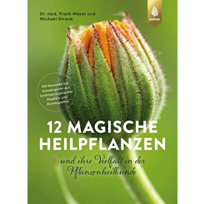 Abbildung von 12 magische Heilpflanzen: und ihre Vielfalt in der Pflanzenheilkunde. Mit besonderem Schwerpunkt auf Anthroposophischer Medizin Homöopathie