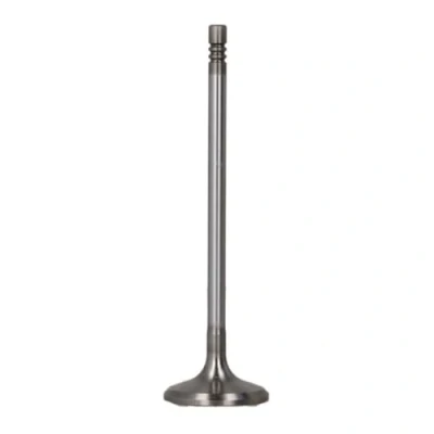 Abbildung von Einlaßventil FRECCIA R6787/SCR