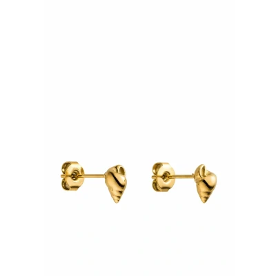 Abbildung von Purelei® Oceanside Ohrstecker Kleine Muschel Ohrringe aus Edelstahl in Gold, Silber oder Roségold Minimalistischer Damen Schmuck mit maritimen Aloha Vibes 4 x 6,8 mm, 0,8 g (Gold)