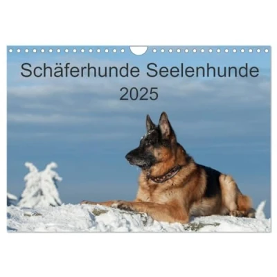 Abbildung von Schäferhunde Seelenhunde (Wandkalender 2025 DIN A4 quer), CALVENDO Monatskalender