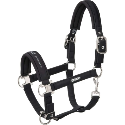 Abbildung von Halfter DOUBLE PIN BUCKLE SOFTSHELL CORE