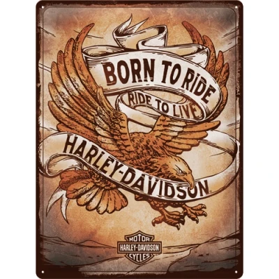 Abbildung von Nostalgic Art Metallschild Blechschild 30 x 40 cm Harley Davidson Born to Ride Eagle
