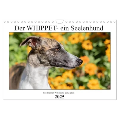 Abbildung von Der Whippet ein Seelenhund (Wandkalender 2025 DIN A4 quer), CALVENDO Monatskalender