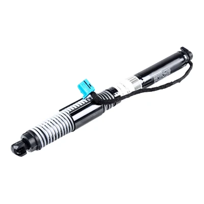 Abbildung von NTY AE CH 047 Heckklappendämpfer elektrisch