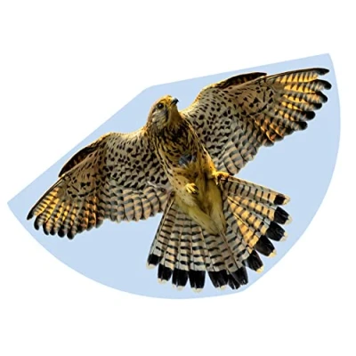 Abbildung von Günther Flugspiele Einleinerdrachen FALKE Spannweite 920 mm Windstärke Fitness 3 6 bft