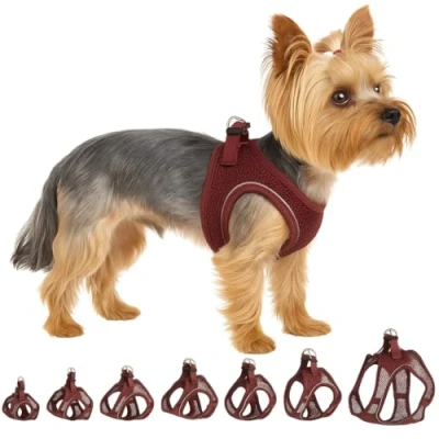 Abbildung von Flamingo Step Go Bento Geschirr Aubergine, XS (A:28 30 cm, B:30 32 3 mm), Komfortabel und Verstellbar, Ideal für Zwergspitz, Malteser, Havaneser, Toy Pudel usw.