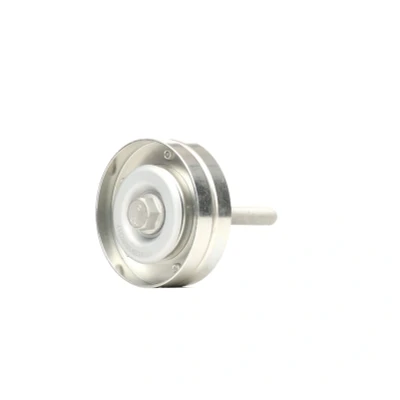 Abbildung von RIDEX 312D0099 Umlenkrolle mit Befestigungsmaterial VOLKSWAGEN: Fox Schrägheck, Polo V IV SEAT: Ibiza 3 Schrägheck