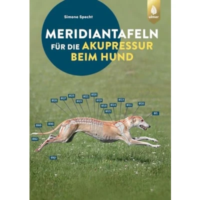 Abbildung von Meridiantafeln für die Akupressur beim Hund