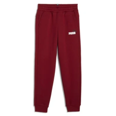 Abbildung von PUMA Jungen Ess+ 2 Col Logo Pants Fl Cl B Gestrickte Hosen, Rot Intense Red, 176 EU