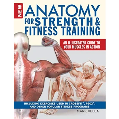 Abbildung von New Anatomy for Strength &amp; Fitness Training: An Illustrated Guide to Your Muscles in Action Including Exercises Used Crossfit, P90x, and Other Popular Programs