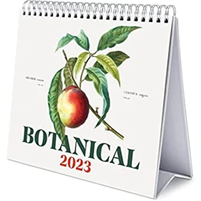 Abbildung von Grupo Erik Tischkalender 2023 Botanical Kalender Botaniker Quer Format zum Aufstellen FSC zertifiziert Offizielle Lizenz