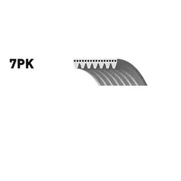 Abbildung von SNR CA7PK2265 Keilrippenriemen 2265 7 HONDA: Accord Limousine, CR V 3, Tourer, MERCEDES BENZ: G Klasse SUV, JEEP: Grand Cherokee I