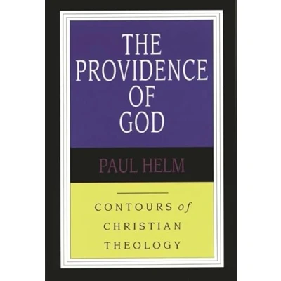 Abbildung von The Providence of God (Contours Christian Theology)