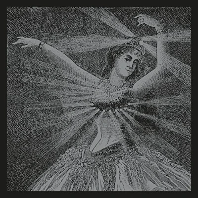 Abbildung von The Collected Works of Neutral Milk Hotel Box Set [Vinyl LP]